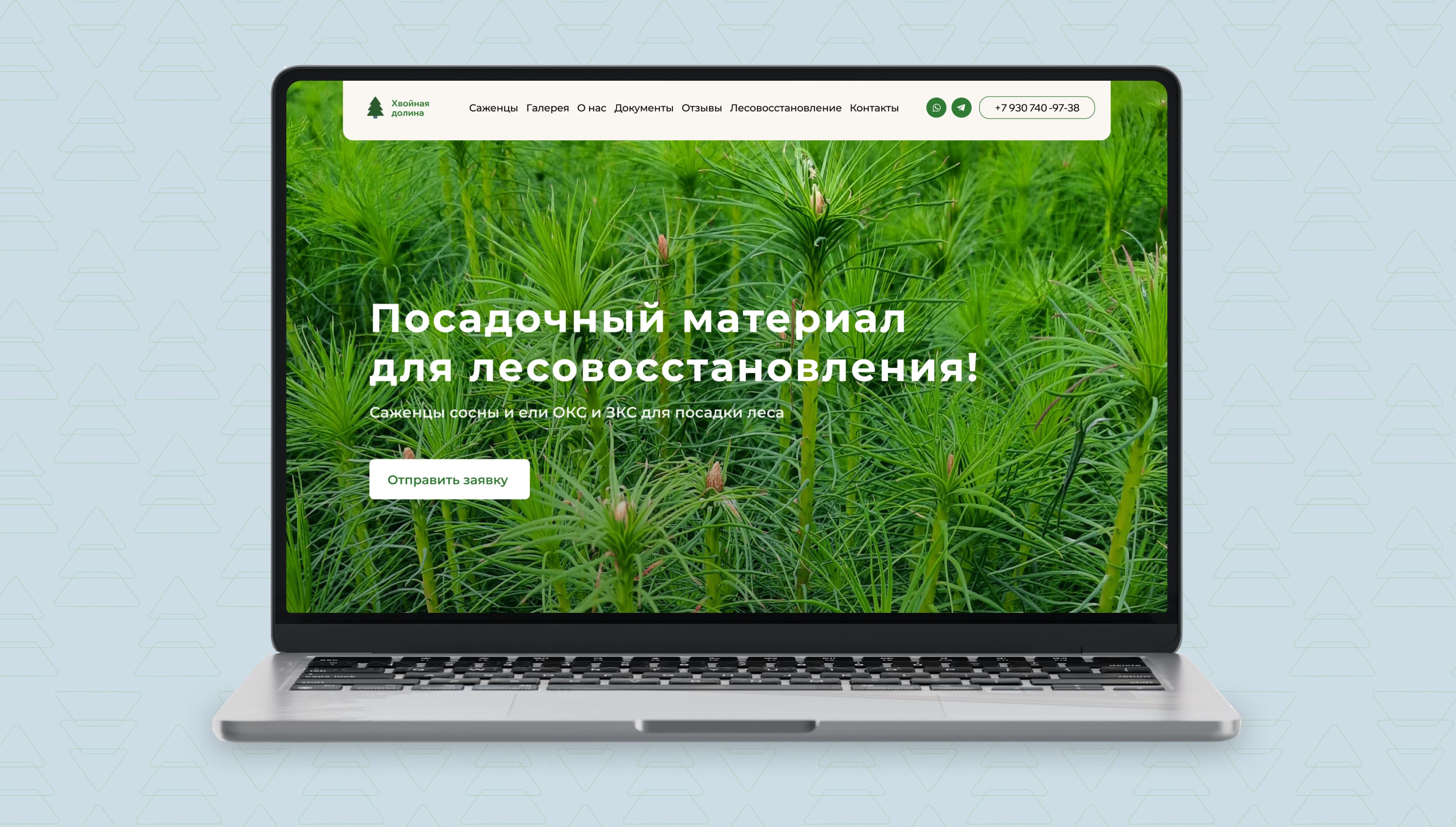 Общий вид сайта Хвойная долина