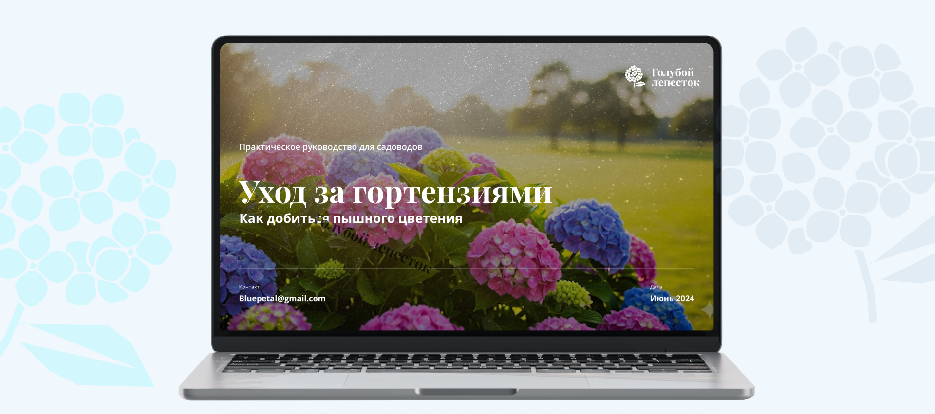 Общий вид презентации Голубой лепесток