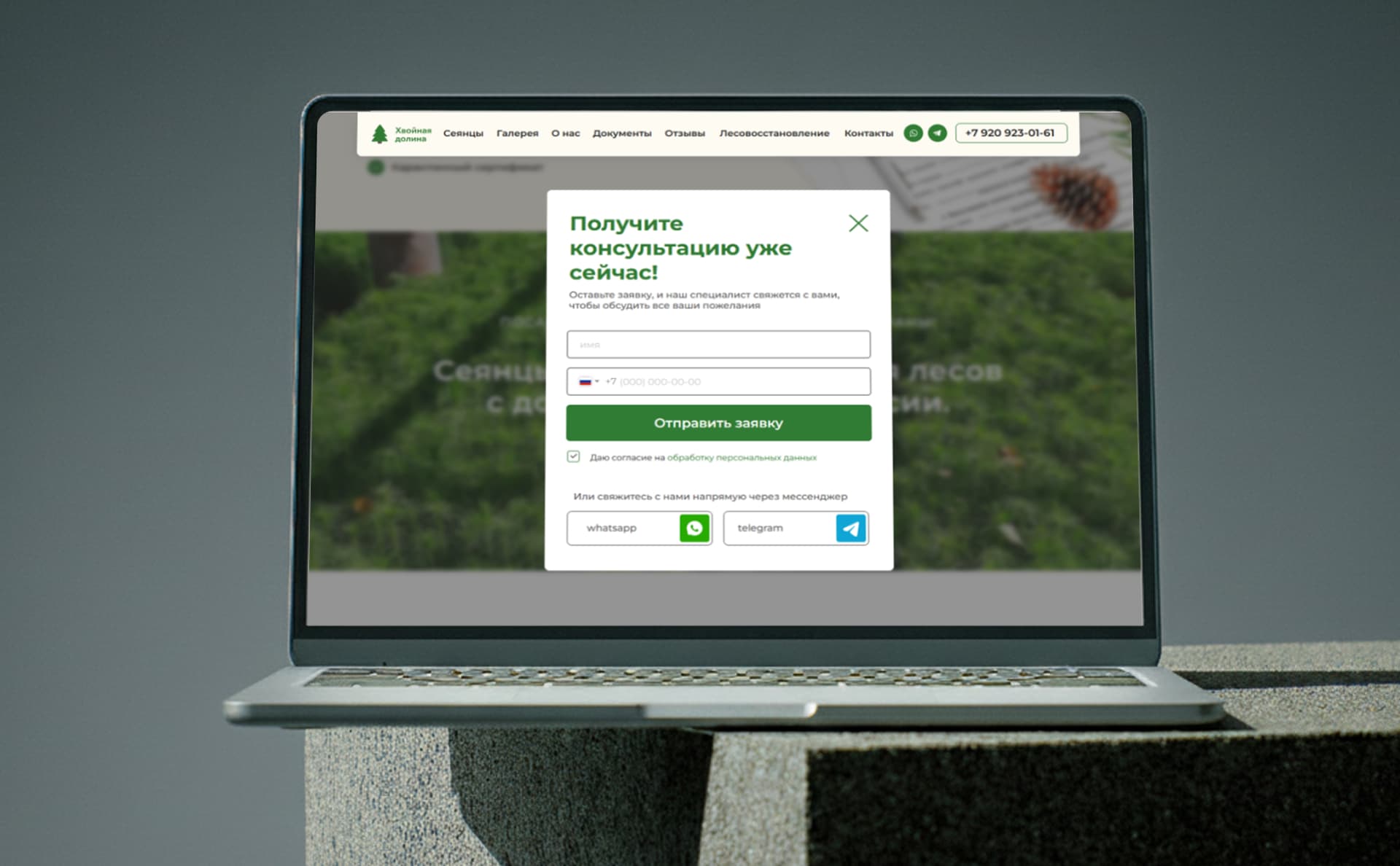 Скриншот сайта Хвойная долина