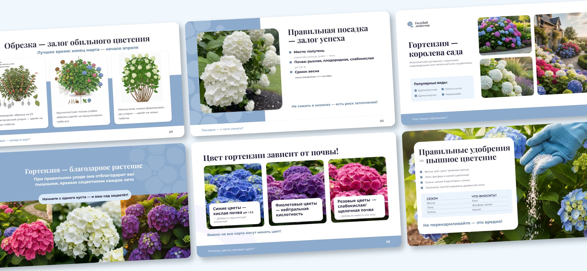 Скриншот сайта APKTEPPA