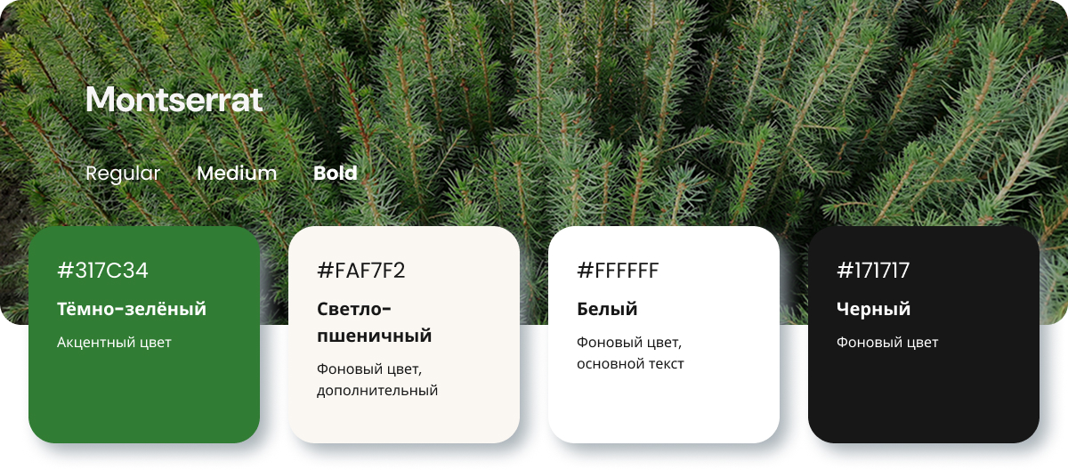 Типографика сайта Хвойная долина